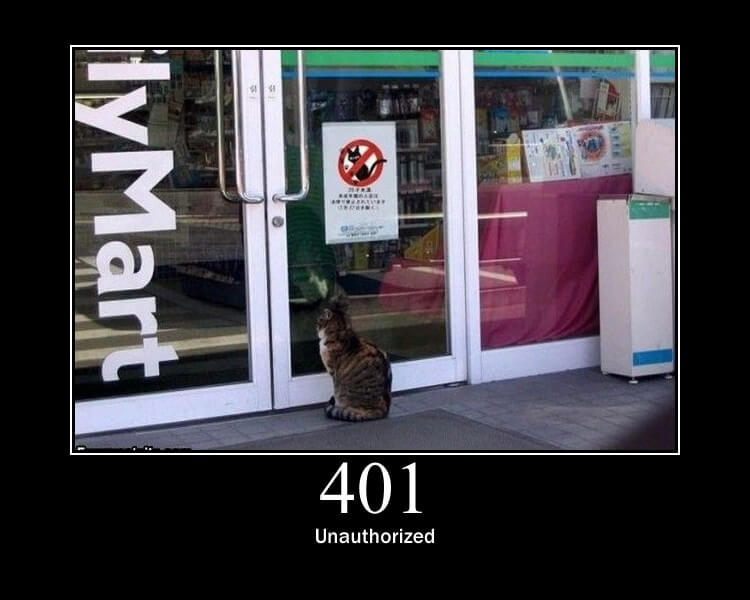 401 Unauthorized